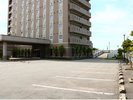 平面駐車場