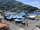 海の駅 潮彩館 (徒歩1分)