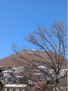 大室山に雪が・・・