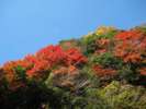 紅葉の山々