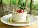 【特典】ショートケーキ4号