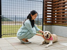 【愛犬と宿泊ルーム】 北館洋室30平米|ドッグラン付