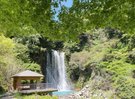 【新緑】丸尾の滝