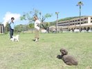 広々としたドッグラン。入り口付近には水道も完備(おもちゃはご持参ください)