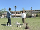 広々としたドッグラン。入り口付近には水道も完備(おもちゃはご持参ください)