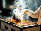 【ご夕食】料理一例※季節や仕入れ状況によって内容が替わる場合がございます