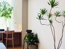 グリーン&インテリアショップ“garage”がプロデュースした<garage room>です。