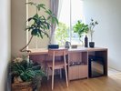 グリーン&インテリアショップ“garage”がプロデュースした<garage room>です。