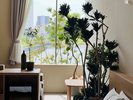 グリーン&インテリアショップ“garage”がプロデュースした<garage room>です。