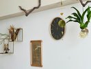 グリーン&インテリアショップ“garage”がプロデュースした<Rust room>です。