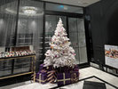 【季節に合わせた装飾】クリスマスツリー