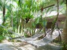 �y�����Q�̐X�̃n�����b�N�z�I�[�V�����Y�E�C���O