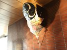 ■遠州凧をイメージした照明