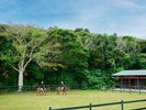 ヨナグニウマがいる馬小屋はキャンプ場近くにあります