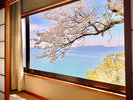 桜の季節、離れの窓から眺める桜と海の景色