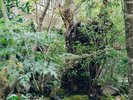 【有福温泉の町並み】1300年以上の歴史ある小さな温泉街