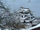 【周辺観光(冬)】雪化粧をした彦根城☆写真提供:(公社)びわこビジターズビューロー