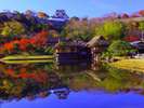 【周辺観光】玄宮園☆写真提供:(公社)びわこビジターズ