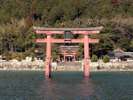 【周辺観光】白鬚神社☆写真提供:(公社)びわこビジターズビューロー