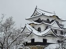 彦根城 冬景色(ホテルから車で約15分) ※写真提供:彦根城管理センター