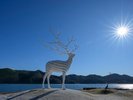 ☆石巻の雄鹿半島エリアにあるパブリックアート【White Deer(Oshika)】