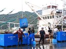 女川港の秋刀魚水揚げ量は全国でもトップクラス!