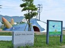 マッシュパーク女川。アートな遊具はフォトスポットにも◎