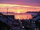 女川の海に昇る初日の出。レンガみちにはたくさんの方が集います。