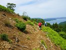 みちのく潮風トレイル【女川町ルート】女川の豊かな自然を思いっきり満喫できるコースです。