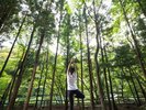 湖郷 -kokyo-水の流れる音、鳥や虫の声、風に揺れる木々の音、風が気持ち良い湖畔