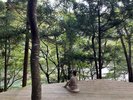 静寂に包まれたあなただけの時間、どう過ごしますか?