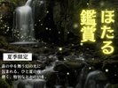 【夏季限定】ほたる鑑賞