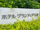 �O�Ŕ�