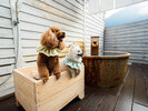 【貸切露天風呂】愛犬と別府温泉を