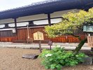 飛鳥寺3