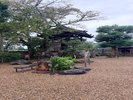 飛鳥寺4