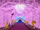 時之栖イルミネーション2026-2027「ひかりのすみか」2026年10月9日〜2027年3月7日(写真は2025-2026年度)