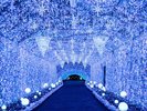 時之栖イルミネーション2026-2027「ひかりのすみか」2026年10月9日〜2027年3月7日(写真は2025-2026年度)