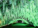 時之栖イルミネーション2026-2027「ひかりのすみか」2026年10月9日〜2027年3月7日(写真は2025-2026年度)
