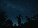 ��ɂ́A���V�ɍL���鐯�������܂��B�^���ǂ���Η��ꐯ�������邩���B
