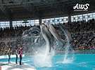 アドベンチャーワールド(車で15分)動物園と水族館と遊園地が一緒になった一日中楽しめるテーマパーク☆