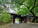 美しい緑に囲まれる夏