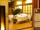 【手もみ処】整体(手もみ・足つぼ)の施術はこちらで。各コースをご用意しております。