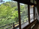 【本館/紅葉】居間8畳+寝室6畳(2〜3名定員)※2階階段 バス無