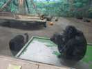 シャボテン公園