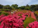小室山公園