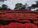 小室山公園