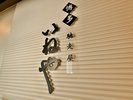 ◇馳走屋 博多いねや◇ごまさば・もつ鍋など九州各地の食材を活かした料理や博多の名物料理をご用意。