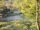 蓼科湖