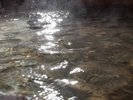 温度の違う2種の源泉からなる温泉です。